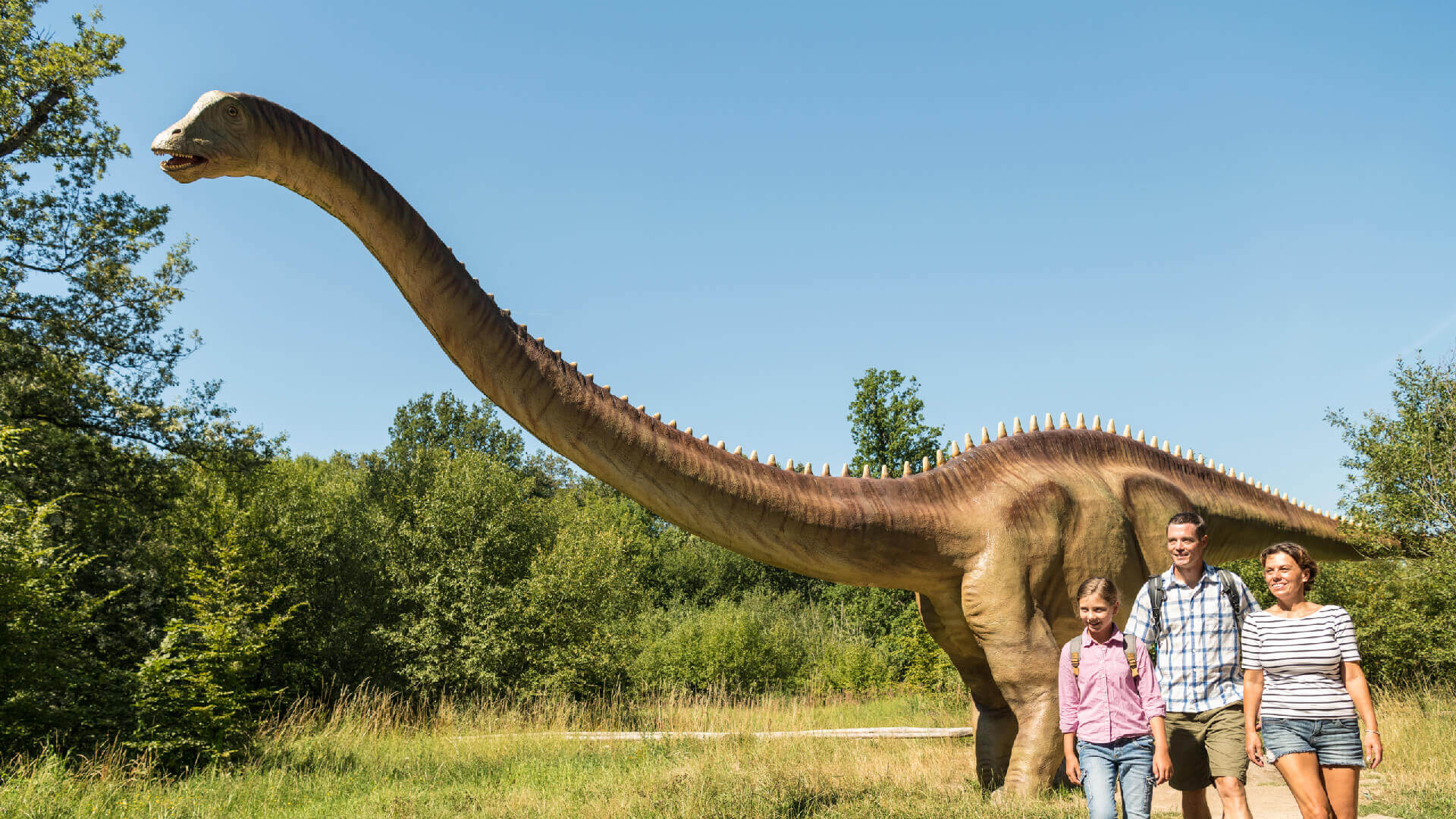 Dinosaurierpark Teufelsschlucht - O que saber antes de ir